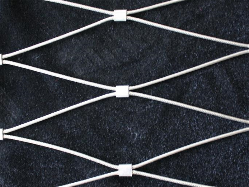 1552544387425808.jpg 不銹鋼繩絲網(wǎng).JPG